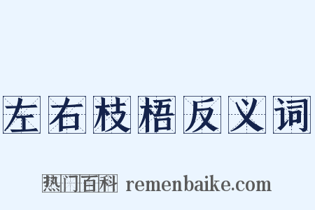 左右枝梧反义词是什么意思的图片